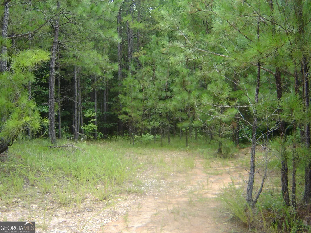 0 Covington Way Lanett, AL 36863
