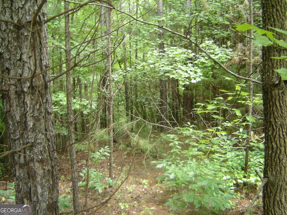 0 Covington Way Lanett, AL 36863
