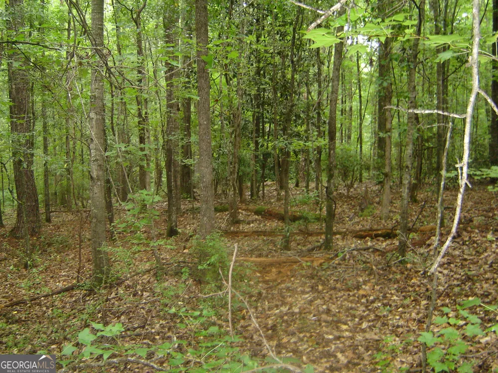 0 Covington Way Lanett, AL 36863