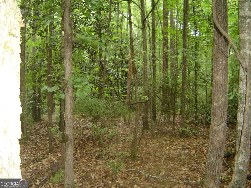 0 Covington Way Lanett, AL 36863