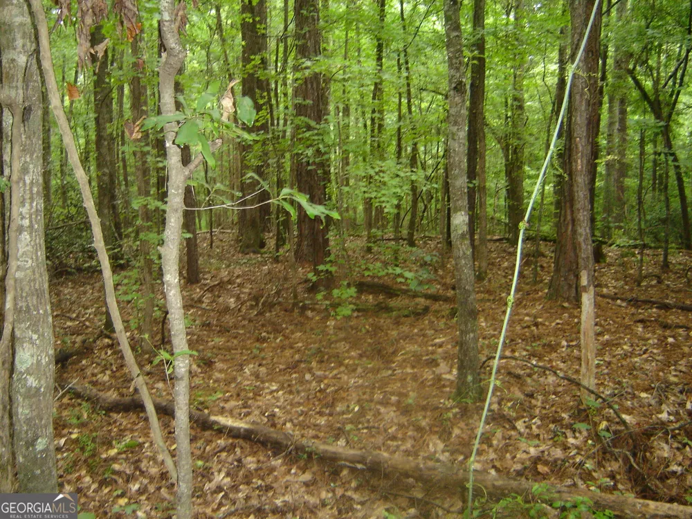 0 Covington Way Lanett, AL 36863