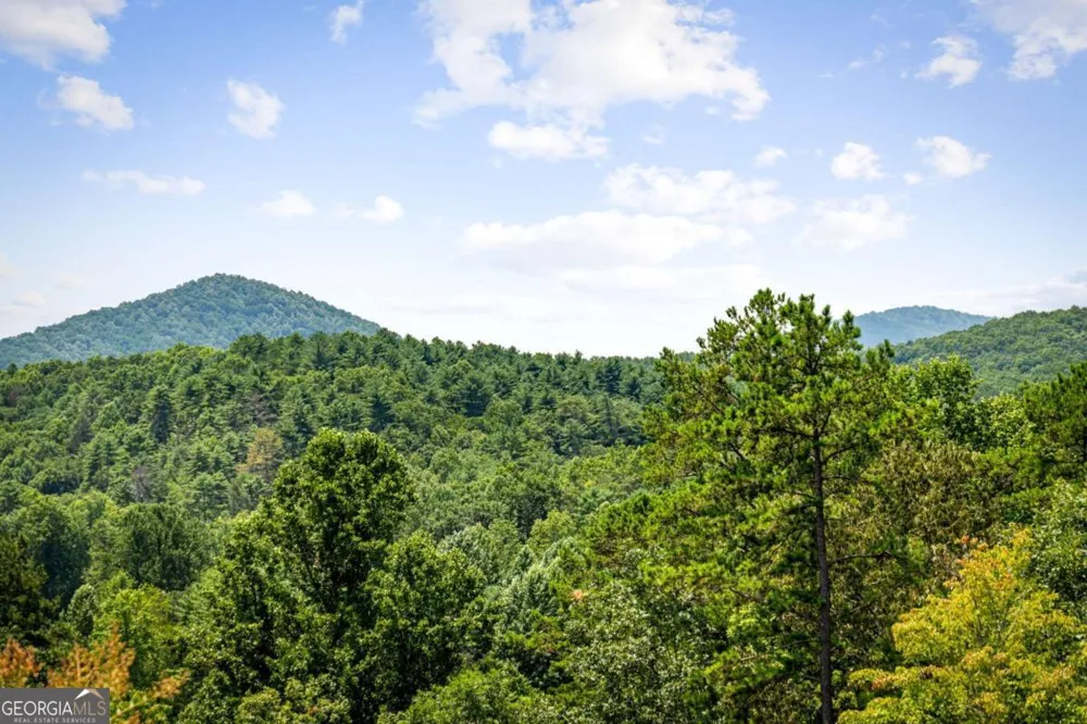 90 Fox RUN Blue Ridge, GA 30513