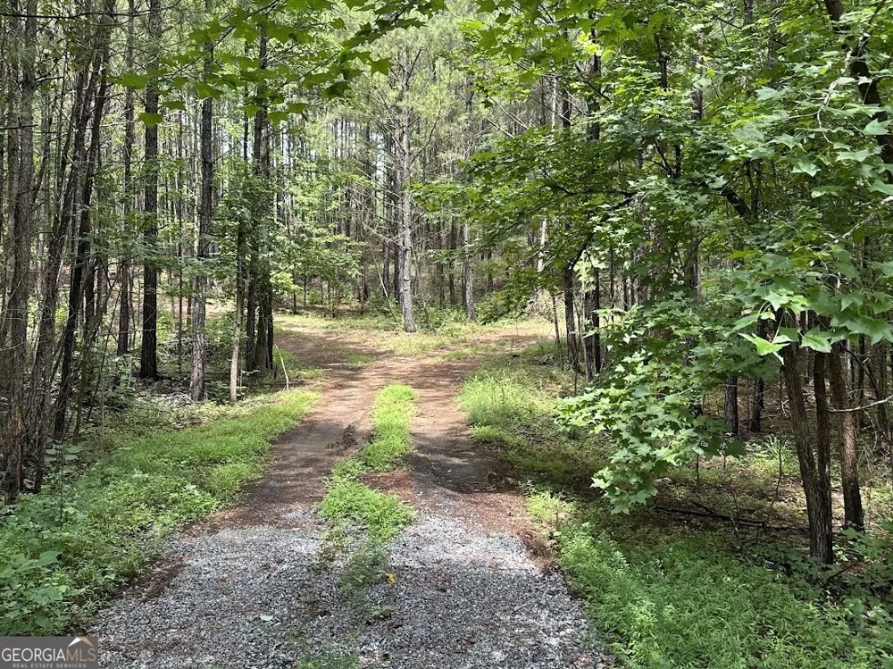 0 Ferry RD Franklin, GA 30217