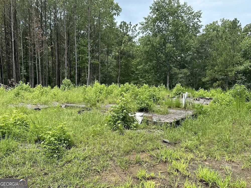 0 Ferry RD Franklin, GA 30217