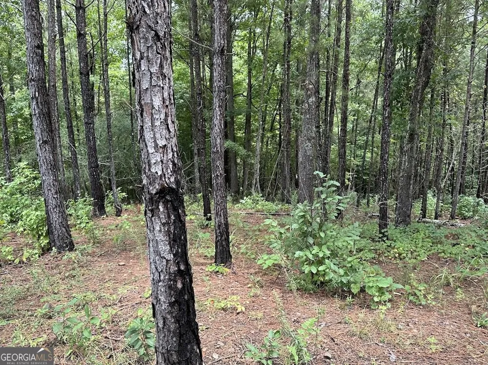0 Ferry RD Franklin, GA 30217
