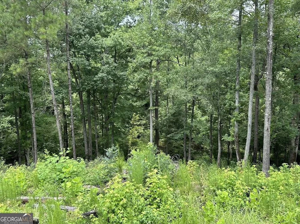 0 Ferry RD Franklin, GA 30217