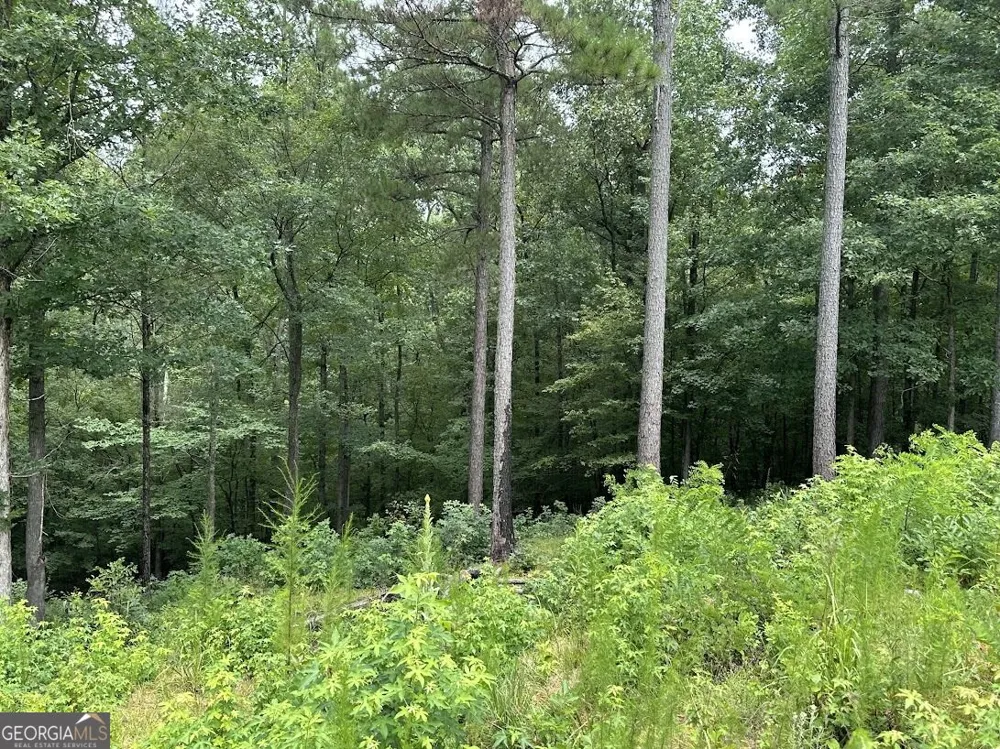 0 Ferry RD Franklin, GA 30217