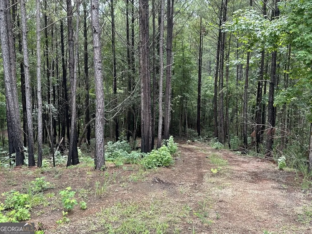0 Ferry RD Franklin, GA 30217