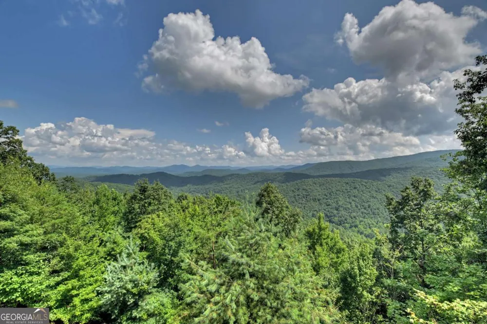 440 Cochise RD Blue Ridge, GA 30513