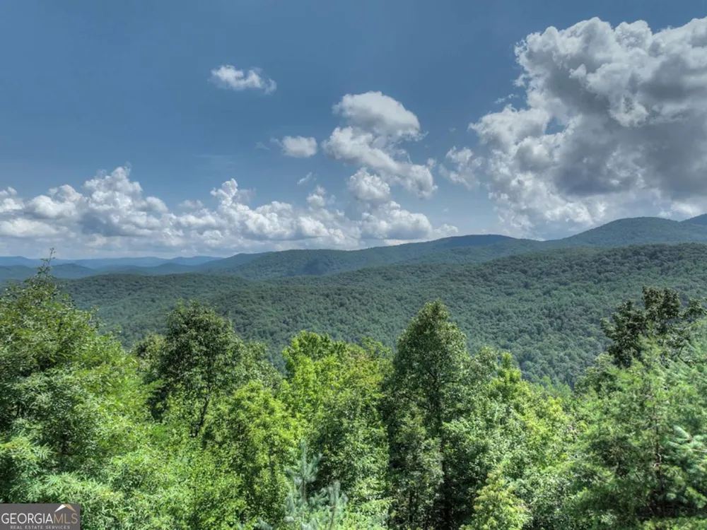 440 Cochise RD Blue Ridge, GA 30513