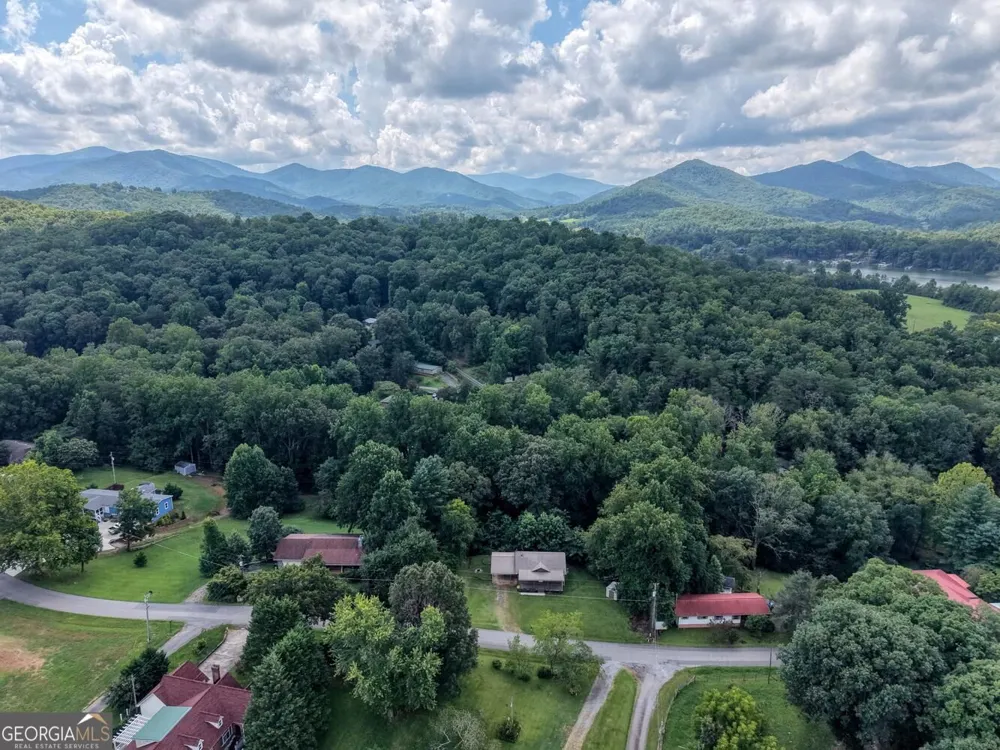 723 Bugscuffle RD Hiawassee, GA 30546