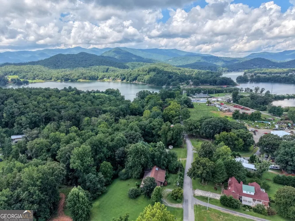 723 Bugscuffle RD Hiawassee, GA 30546
