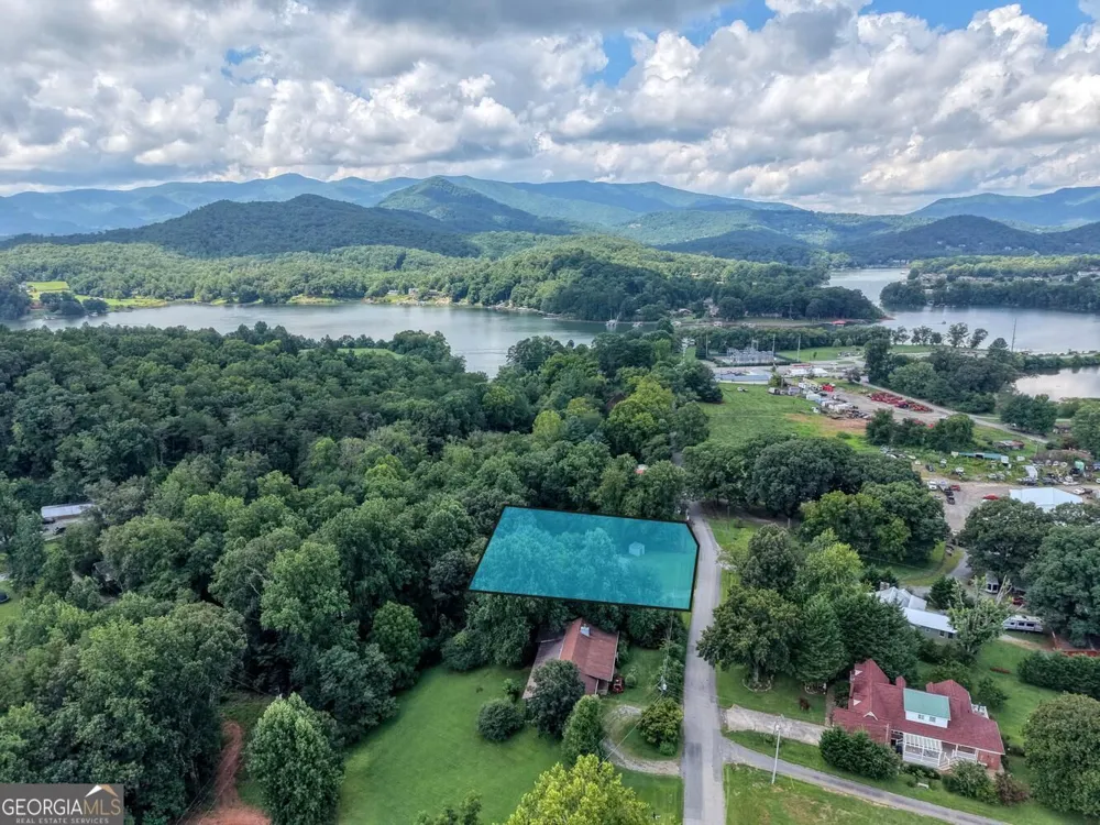 723 Bugscuffle RD Hiawassee, GA 30546