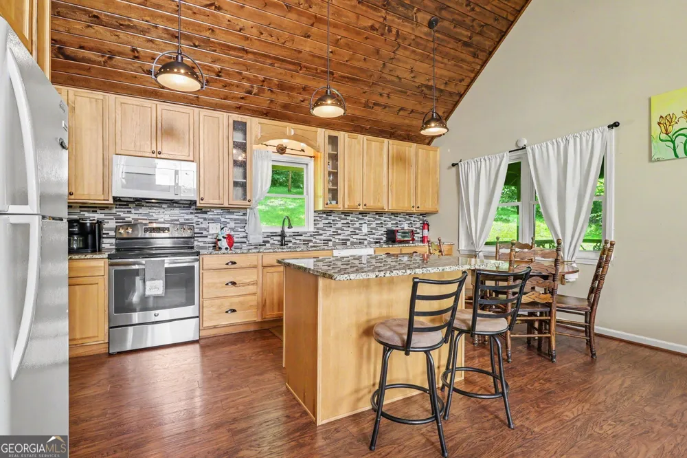 146 Chalet Village LN Dillard, GA 30537