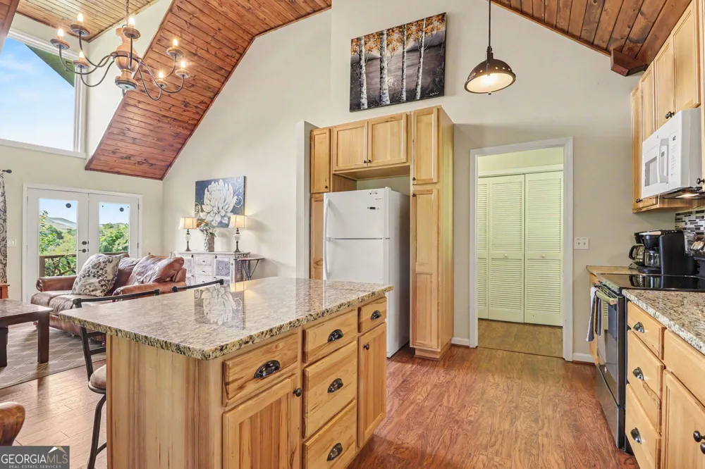 146 Chalet Village LN Dillard, GA 30537