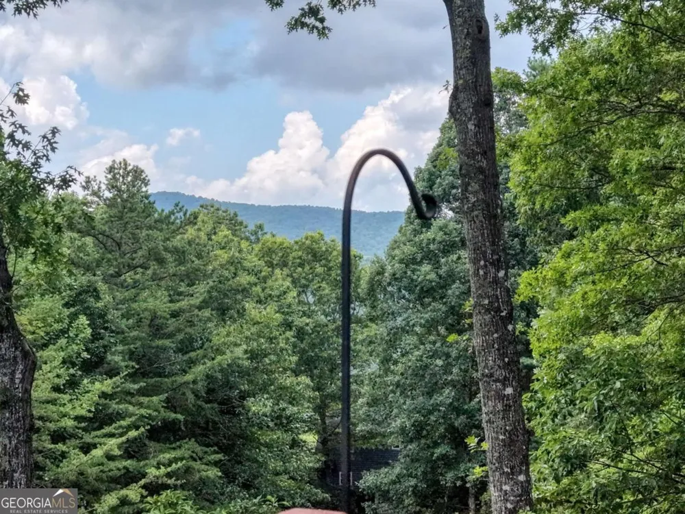 276 Moon Shadow TRL Blairsville, GA 30512