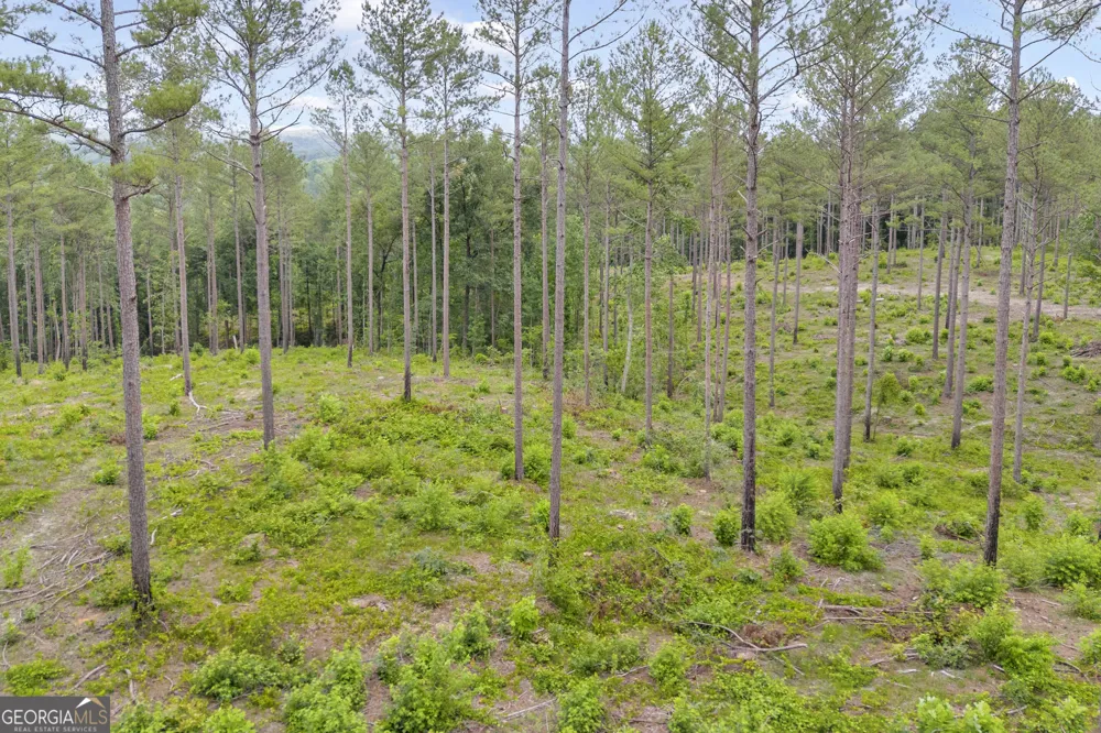 0 Mt. Sinai Lula, GA 30554