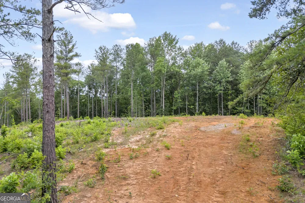 0 Mt. Sinai Lula, GA 30554