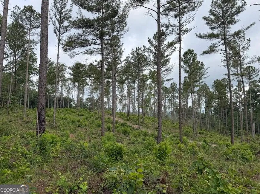 0 Mt. Sinai Lula, GA 30554