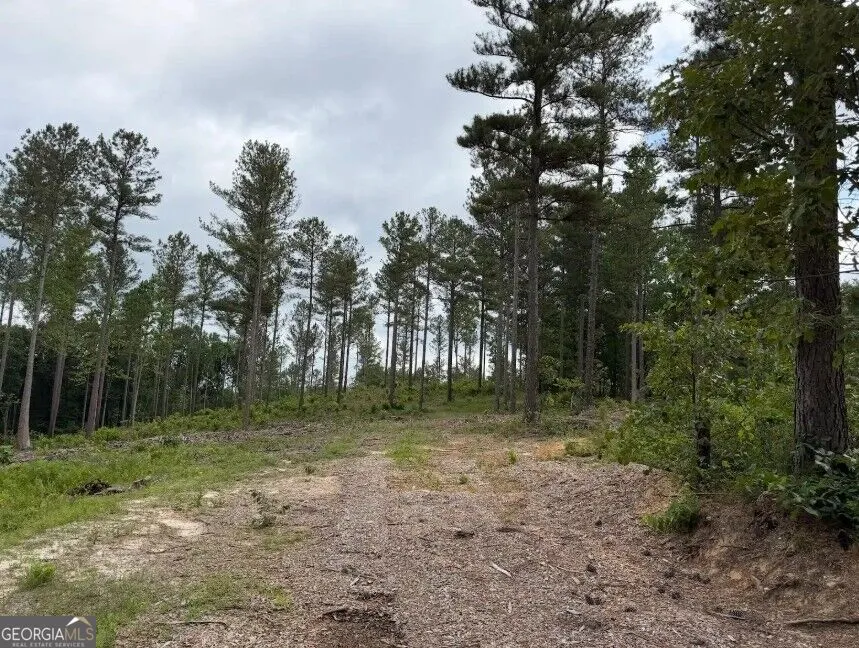 0 Mt. Sinai Lula, GA 30554