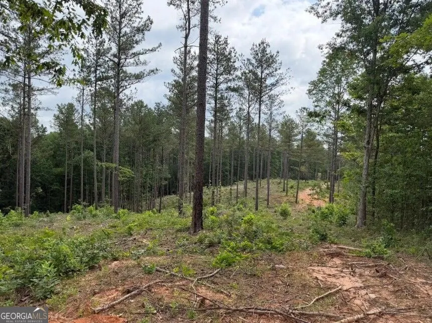 0 Mt. Sinai Lula, GA 30554