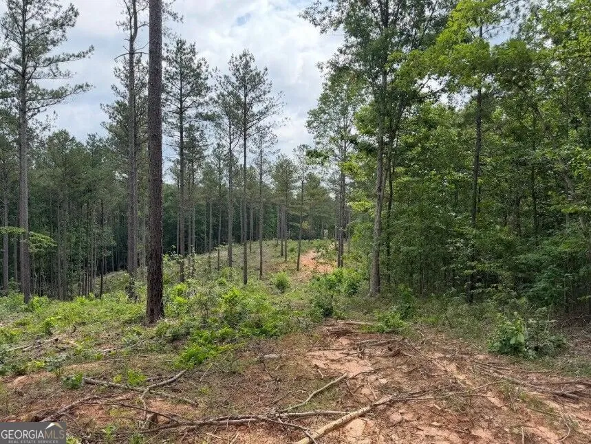 0 Mt. Sinai Lula, GA 30554
