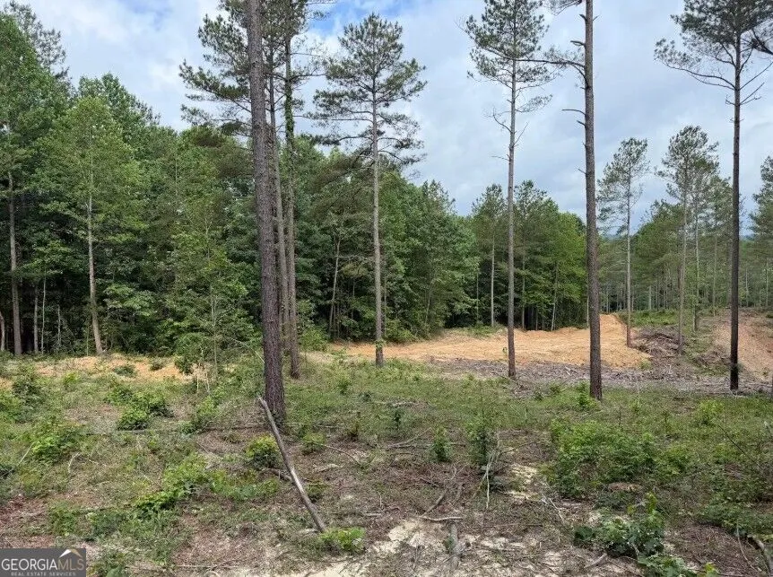 0 Mt. Sinai Lula, GA 30554