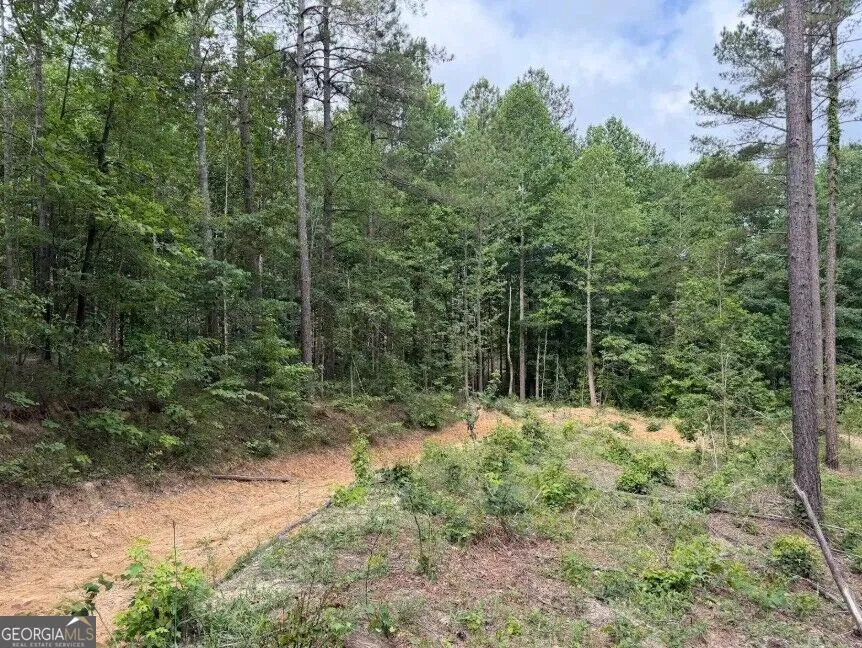 0 Mt. Sinai Lula, GA 30554