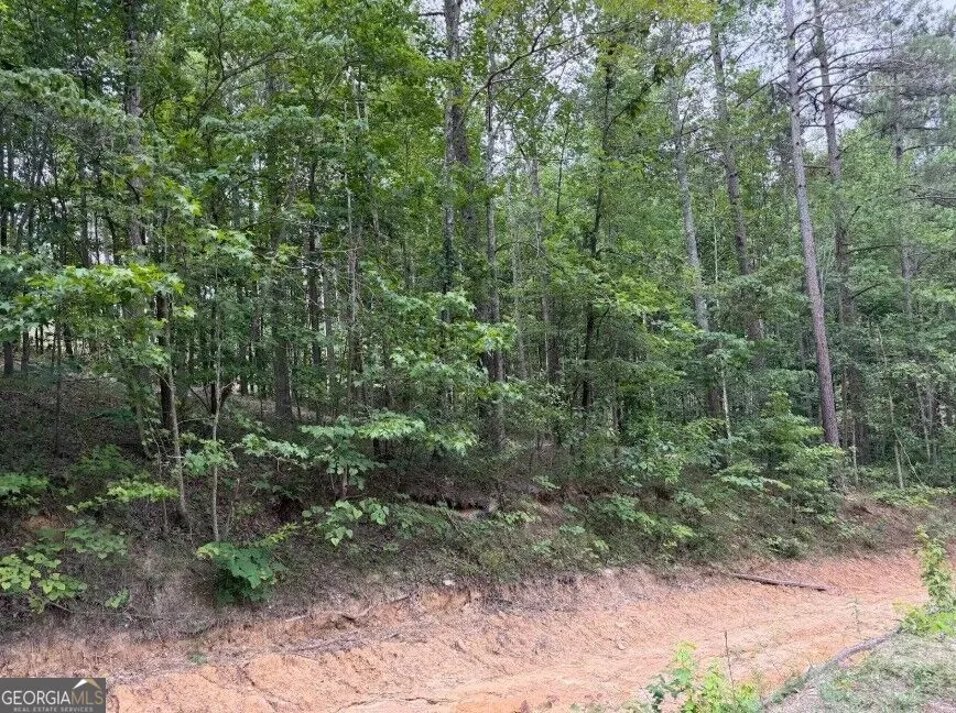 0 Mt. Sinai Lula, GA 30554