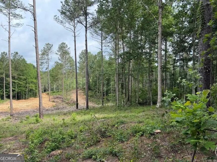 0 Mt. Sinai Lula, GA 30554