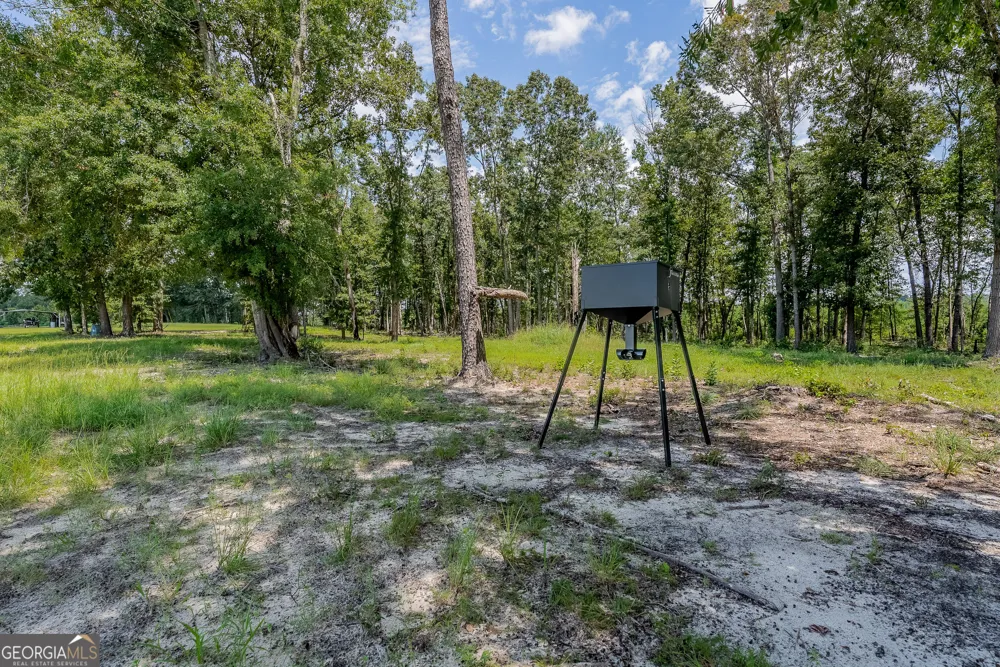 318 Cass Burnham RD Eastman, GA 31023