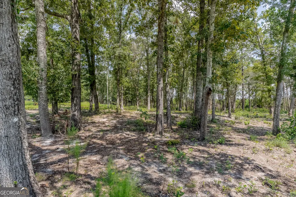 318 Cass Burnham RD Eastman, GA 31023