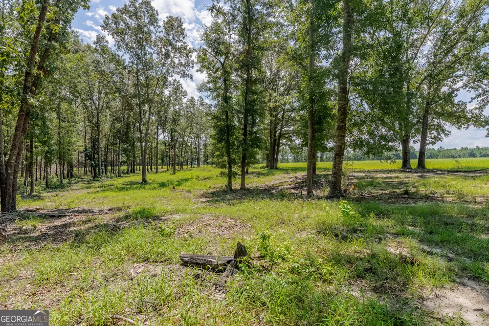 318 Cass Burnham RD Eastman, GA 31023
