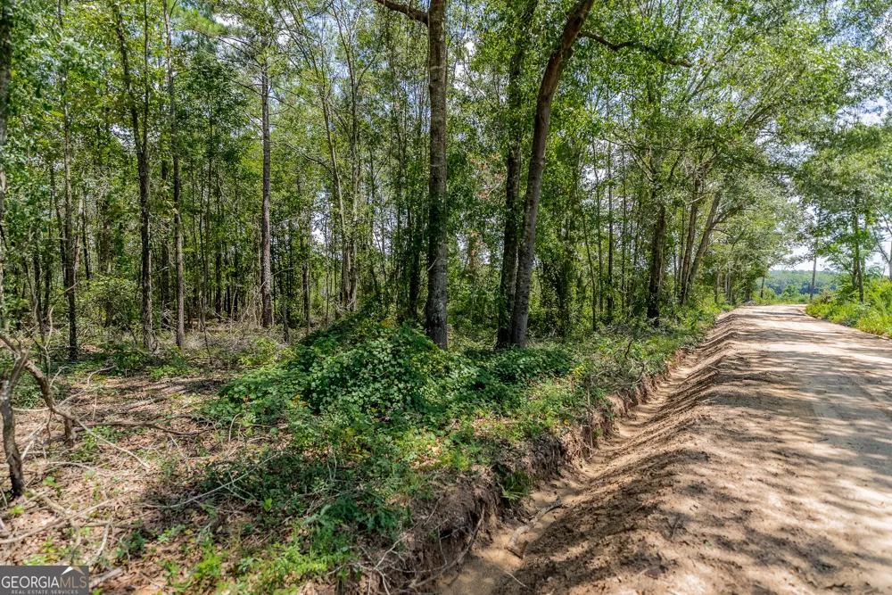 318 Cass Burnham RD Eastman, GA 31023