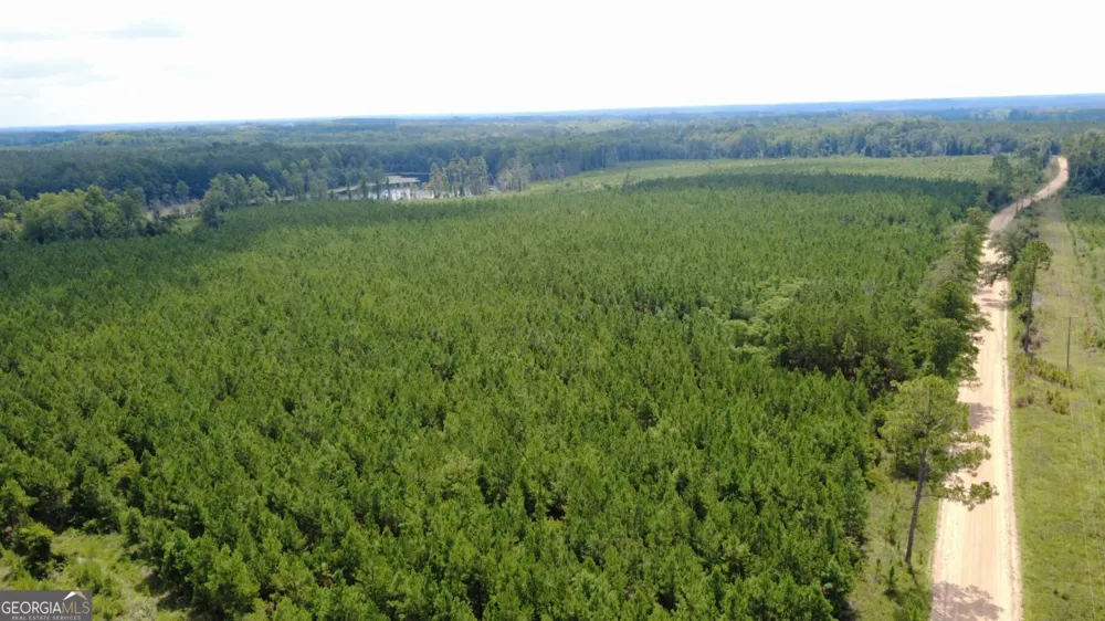 0 SIMS BROTHERS RD Claxton, GA 30417