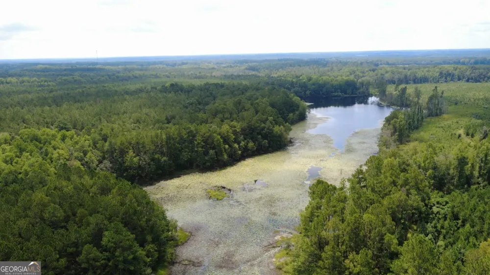 0 SIMS BROTHERS RD Claxton, GA 30417