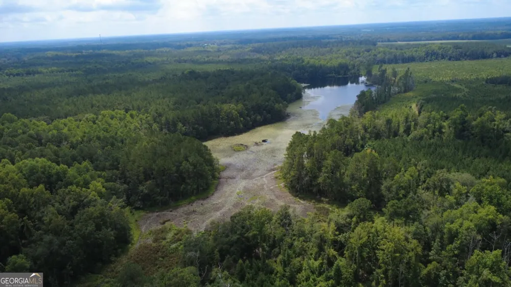 0 SIMS BROTHERS RD Claxton, GA 30417
