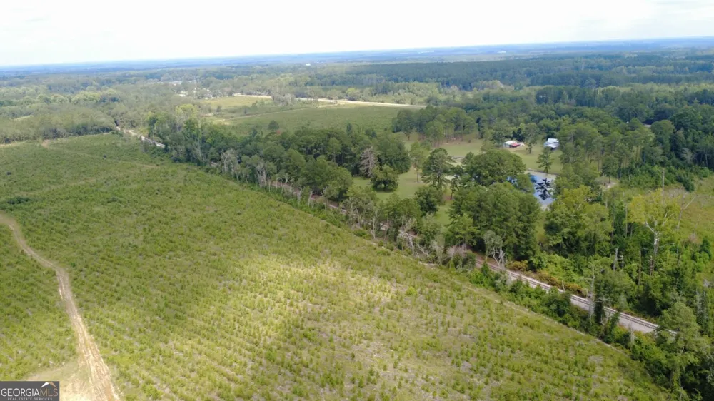 0 SIMS BROTHERS RD Claxton, GA 30417