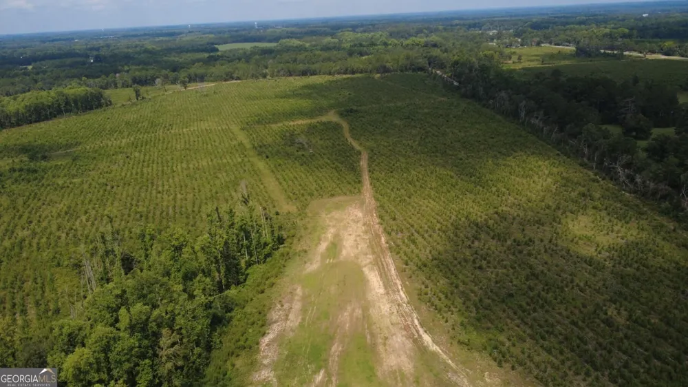 0 SIMS BROTHERS RD Claxton, GA 30417