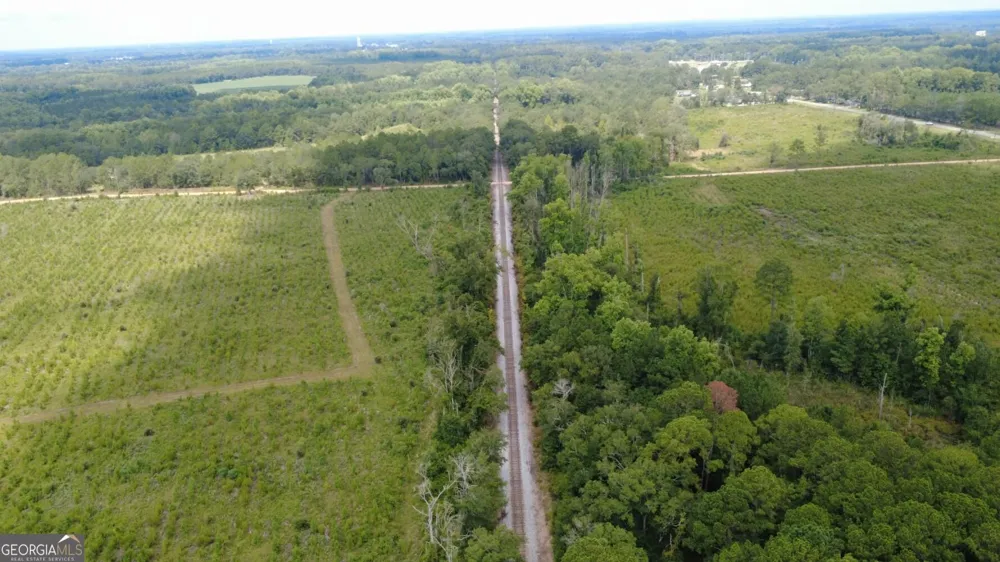 0 SIMS BROTHERS RD Claxton, GA 30417