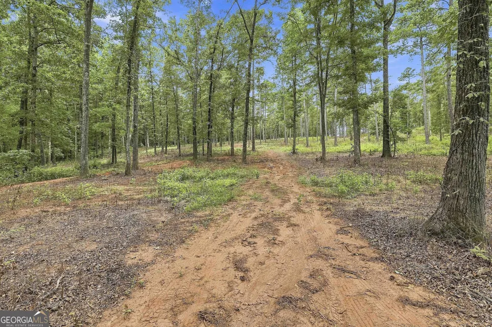 425 Ethridge Mill RD Griffin, GA 30224