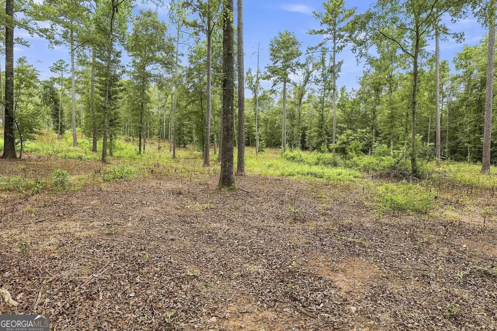 425 Ethridge Mill RD Griffin, GA 30224