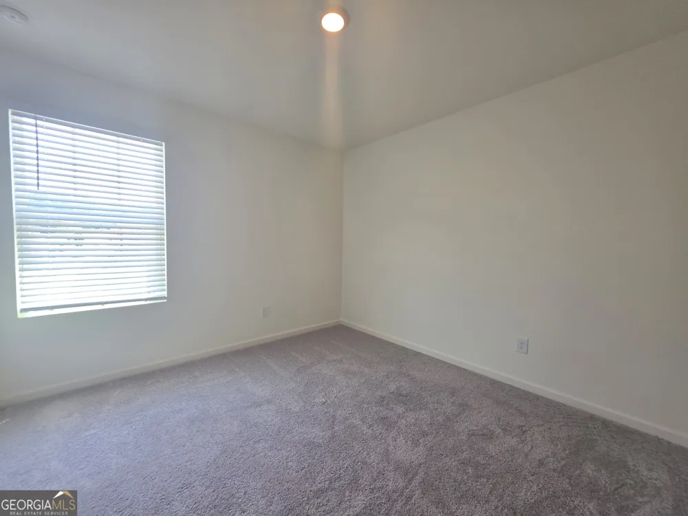 43 Rydal WAY Bethlehem, GA 30620