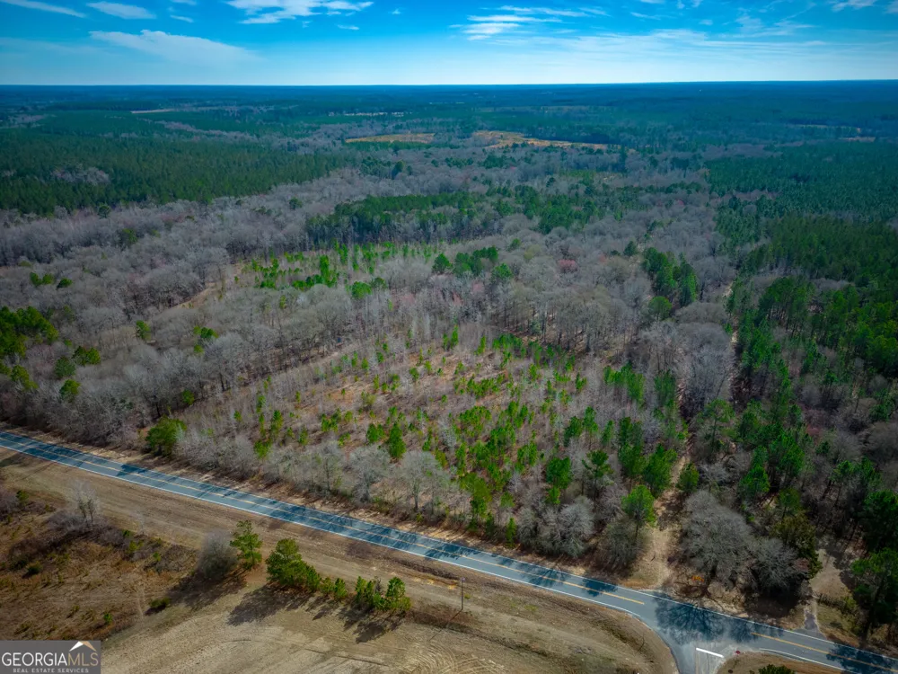 0 Eastman Dublin HWY Cadwell, GA 31009