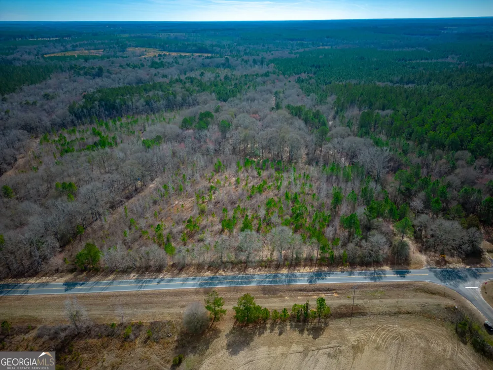 0 Eastman Dublin HWY Cadwell, GA 31009