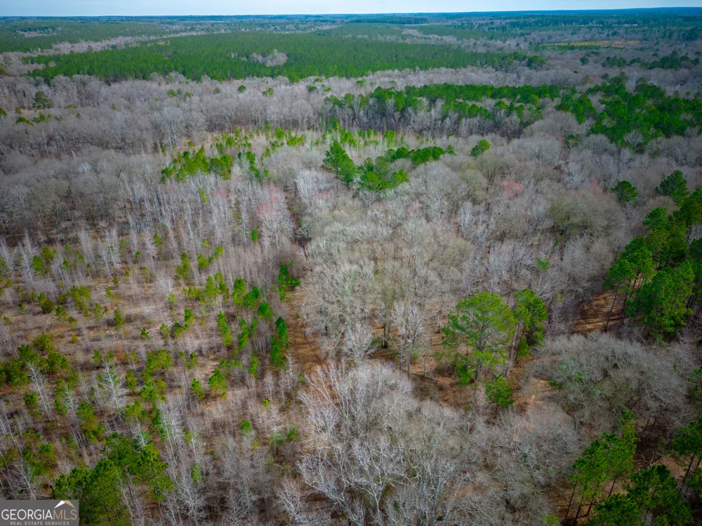0 Eastman Dublin HWY Cadwell, GA 31009