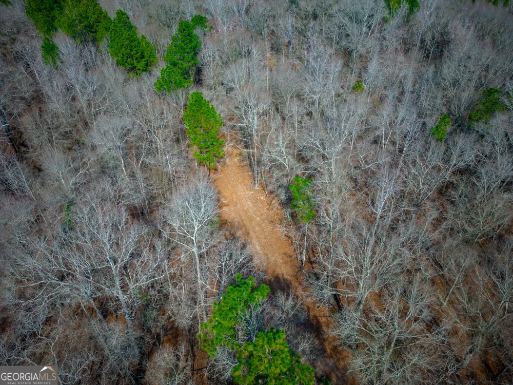 0 Eastman Dublin HWY Cadwell, GA 31009