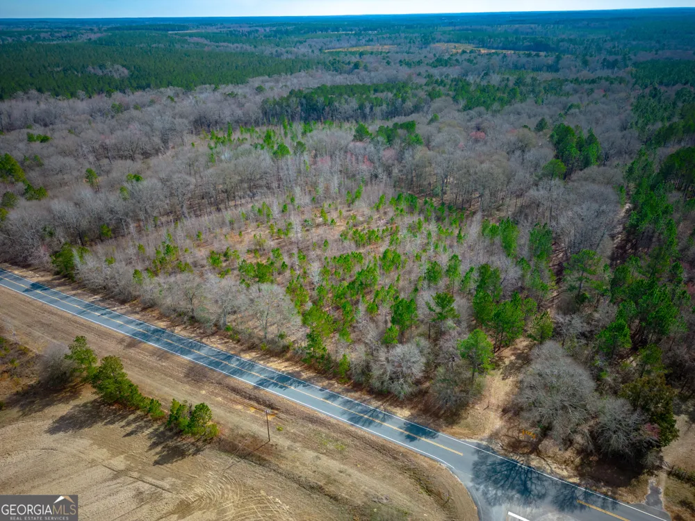 0 Eastman Dublin HWY Cadwell, GA 31009