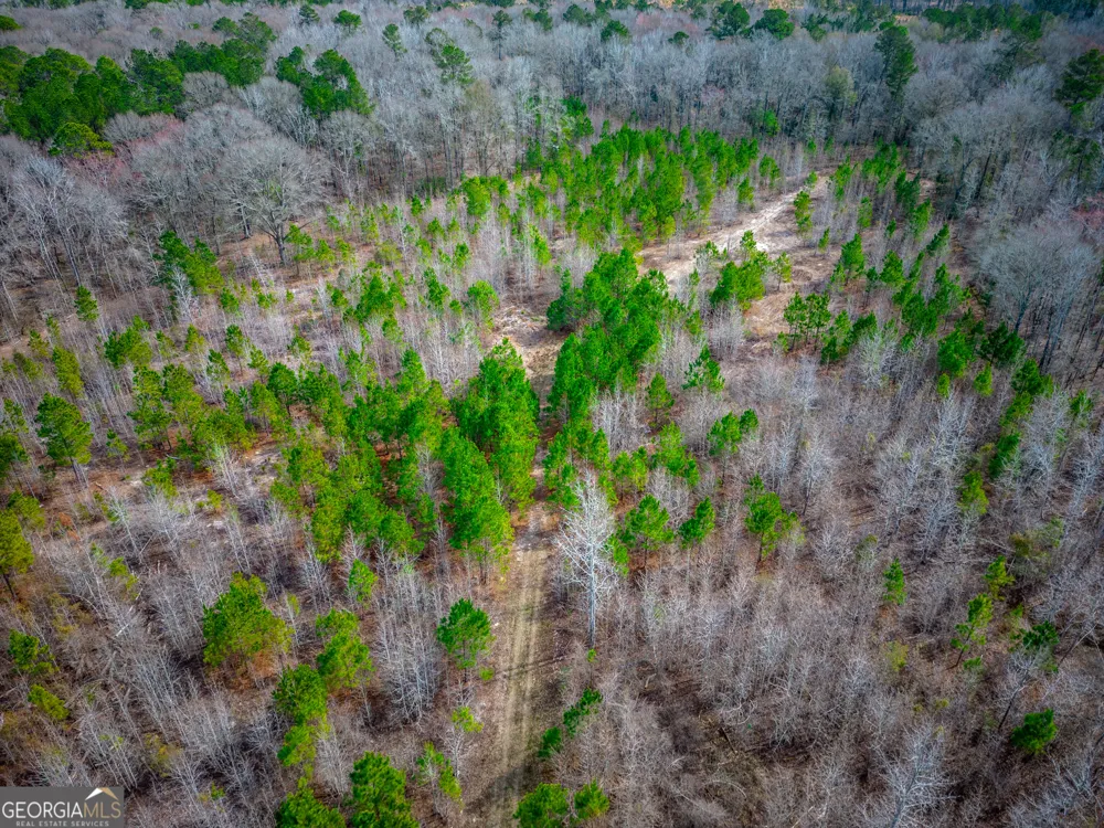 0 Eastman Dublin HWY Cadwell, GA 31009