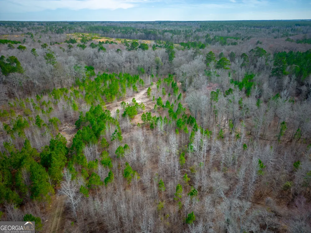 0 Eastman Dublin HWY Cadwell, GA 31009